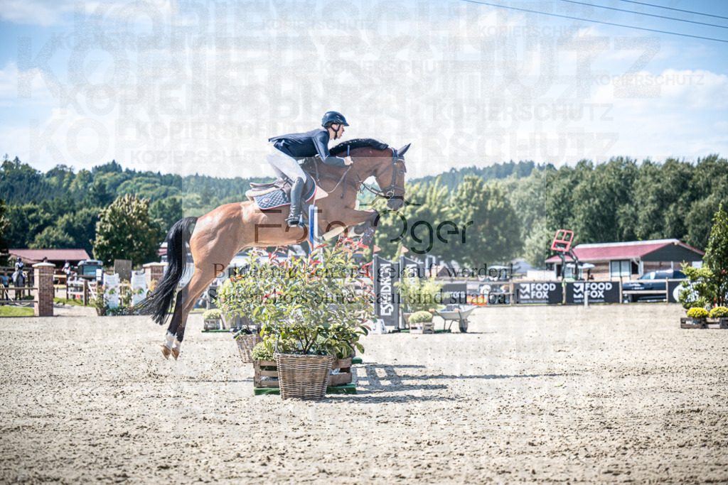 DOS_4270 | Entdecke hochwertige Reitturnierfotos von Foto Oger. Professionell, emotional und authentisch – jetzt Lieblingsmomente im Shop bestellen.Deutschlandweite Turnierfotografie. - Realisiert mit Pictrs.com