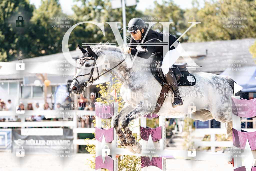 CK908220 | Turnierfotografie Pferdefotografie Trier Rheinland-Pfalz Pferdesport Reitsport Tierfotografie Sportfotografie Pferdevideo Pferdevideografie Equestrianvideography equestrianphotography  - Realisiert mit Pictrs.com