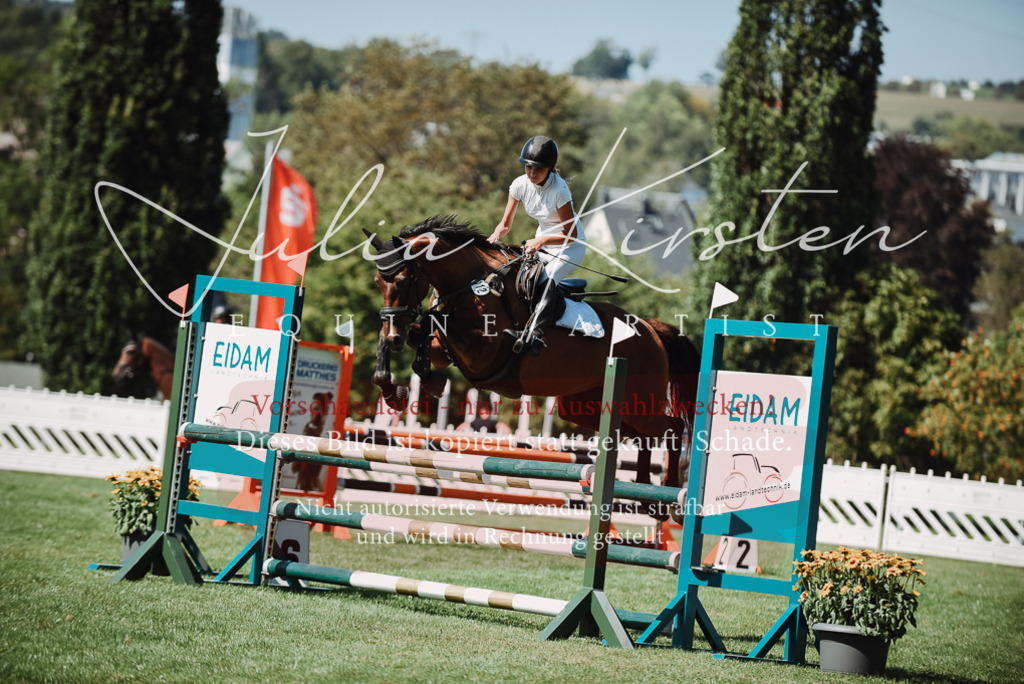 DSC_3115 | Pferde- und Turnierfotografie in Westsachsen. Pferdeportraits, Auftragszeichnungen und intuitive Kunst.