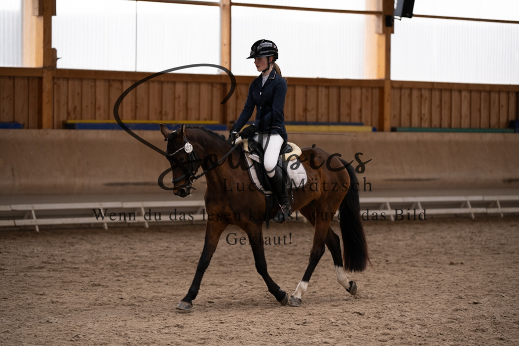 A7V09463 | Pferdefotograf