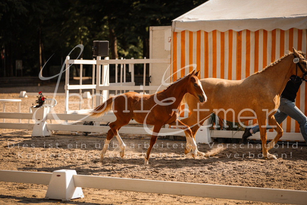 11.DoRP00045 | Leoni Ertmer Photography - Realisiert mit Pictrs.com