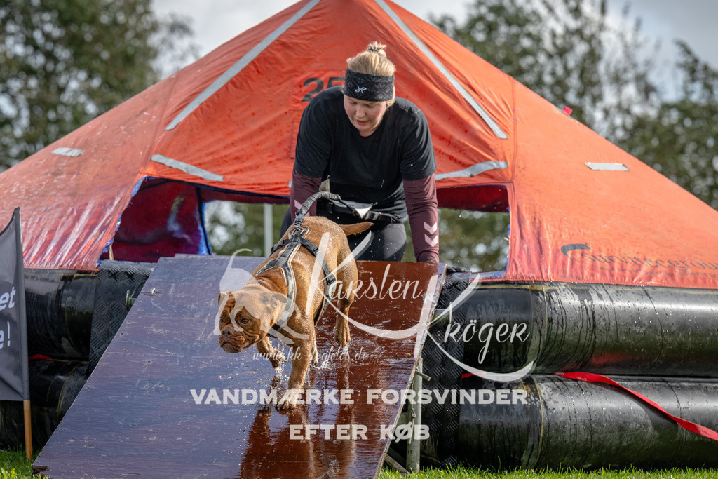 1218-93285 | kk-dogfotos