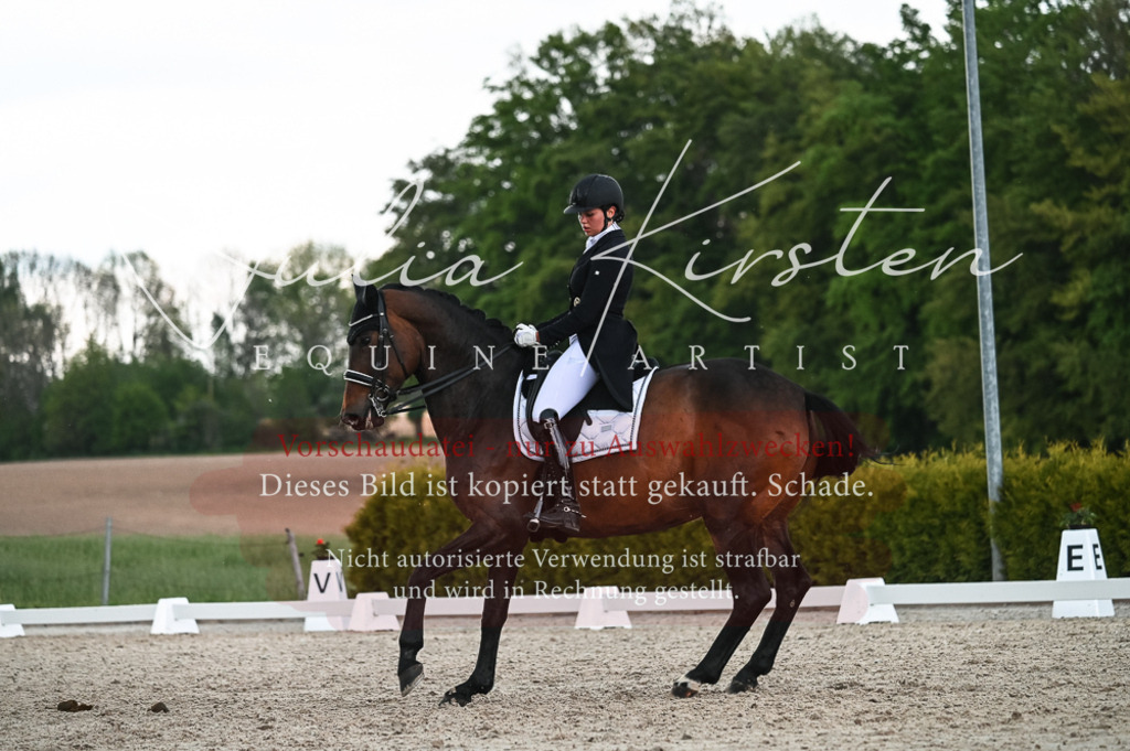 20230514_JK-Röhrsdorf-21-522 | Pferde- und Turnierfotografie in Westsachsen. Pferdeportraits, Auftragszeichnungen und intuitive Kunst.