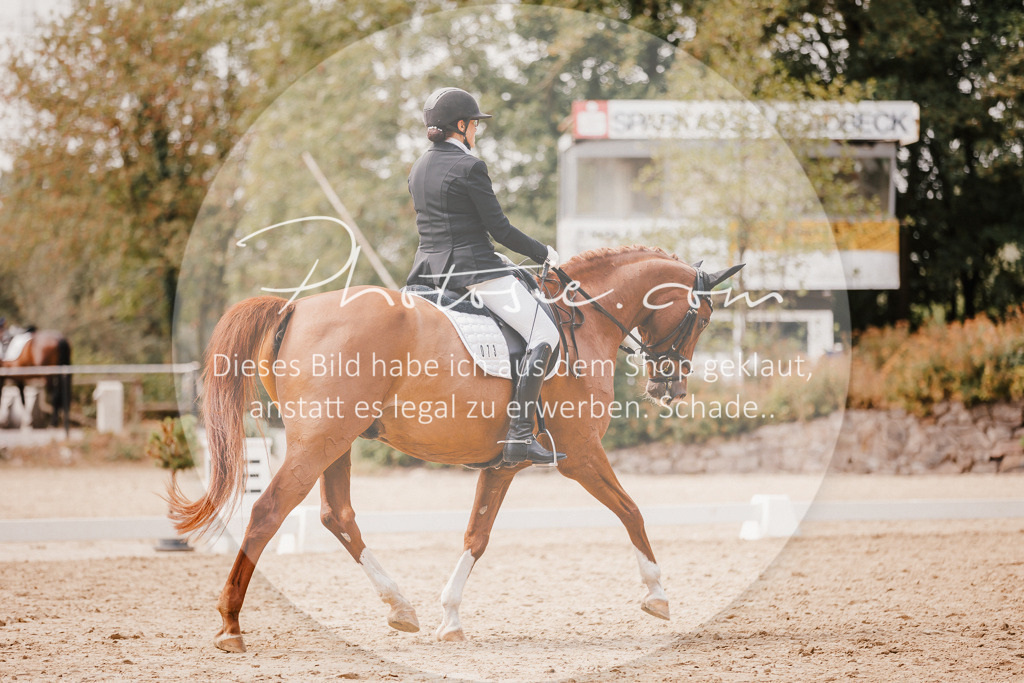 3I6A6029 | Stimmungsvolle Portraits und Reitsportfotografie im Ruhrgebiet und im Münsterland.

Pferdefotografie, Hundefotografie, Tierfotografie, Reportagen, Portraits von Tier und Mensch, Turnierfotografie in Bochum, Recklinghausen, Marl, Haltern am See, Dülmen.. - Realisiert mit Pictrs.com
