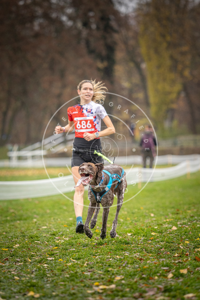 CaniXpix_DV3A8913 | Hundefotografie, Tierfotograf, Pfotenfotografie, Fotoshooting Hund, Hunde Portrait, Hundesport, Hundeportraits, Heideshooting, Hunde, Sportfotograf, Hundefotograf, Turnierhundsport, THS,  - Realisiert mit Pictrs.com