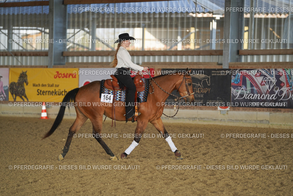 DSC08623 | Pferdegrafie