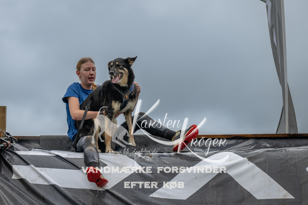 1550_ZZ90989 | kk-dogfotos