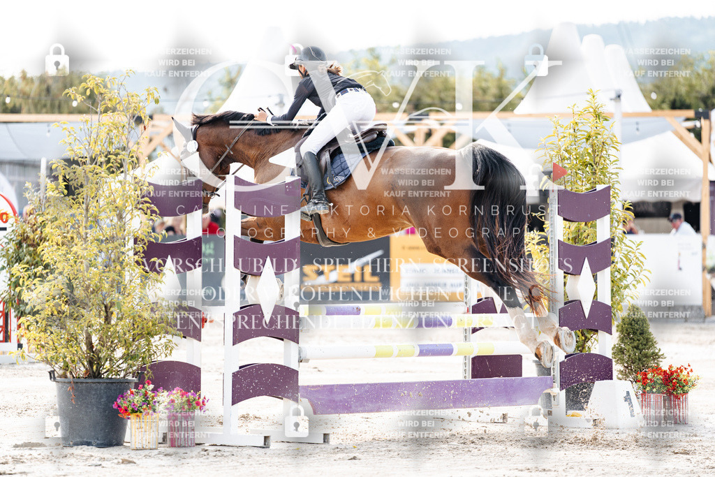 CK906368 | Turnierfotografie Pferdefotografie Trier Rheinland-Pfalz Pferdesport Reitsport Tierfotografie Sportfotografie Pferdevideo Pferdevideografie Equestrianvideography equestrianphotography  - Realisiert mit Pictrs.com