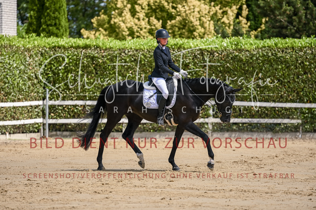 Schugtsche-Aluta25-48.Reitpferfdeprf.-236 | Schugtsche Fotografie - Realisiert mit Pictrs.com