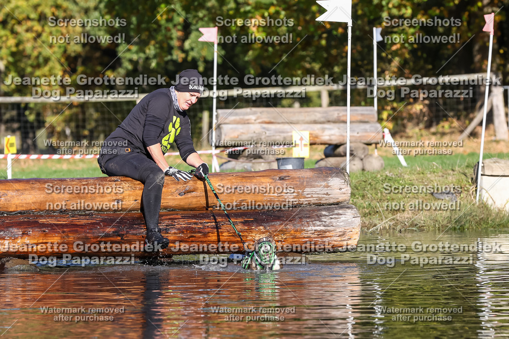 Dog Paparazzi - Strongdog 10-25-8865 | Dog Paparazzi Jeanette Grottendiek Fotografie & Videografie - Realisiert mit Pictrs.com