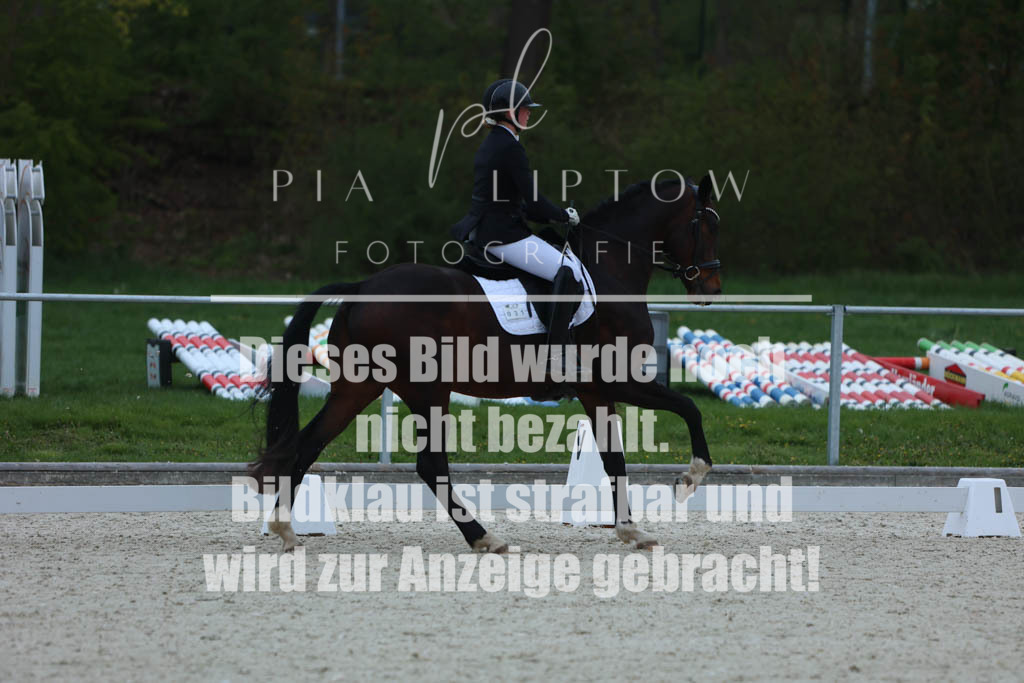IMGM5972 | pl-fotografie