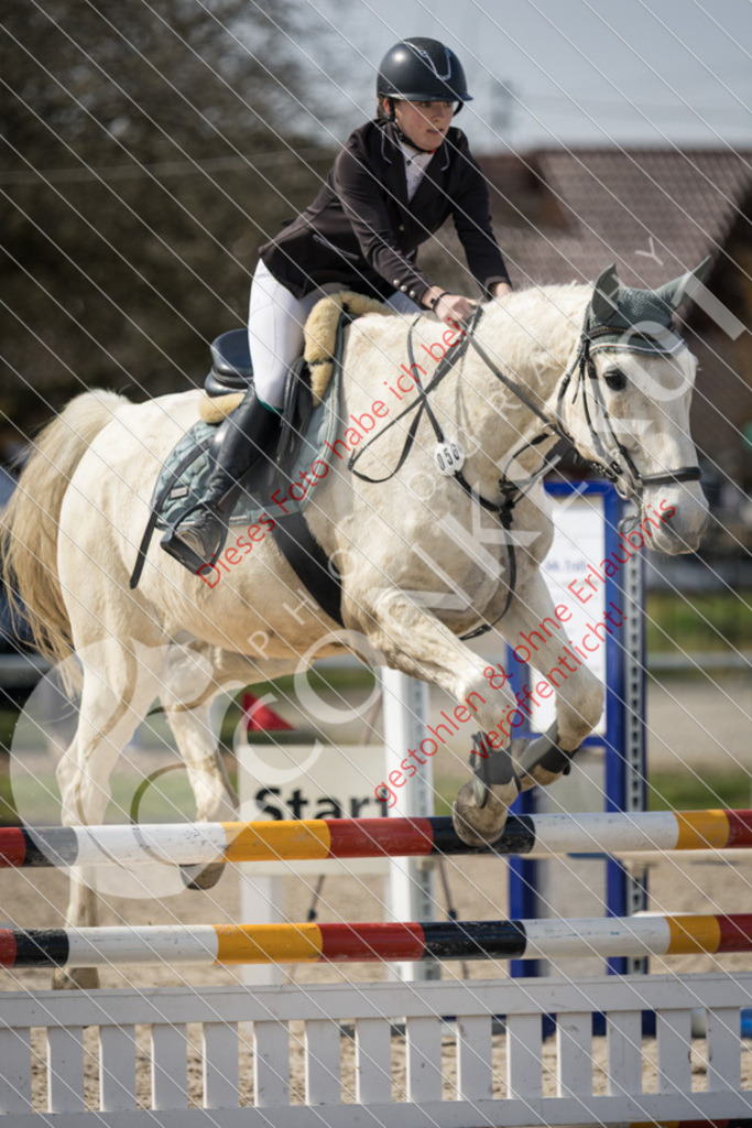 IMG_4179 | Sport-, Event- und Tierfotos in Profiqualität. Einfach auswählen, bestellen und herunterladen. Dein Moment – perfekt festgehalten.