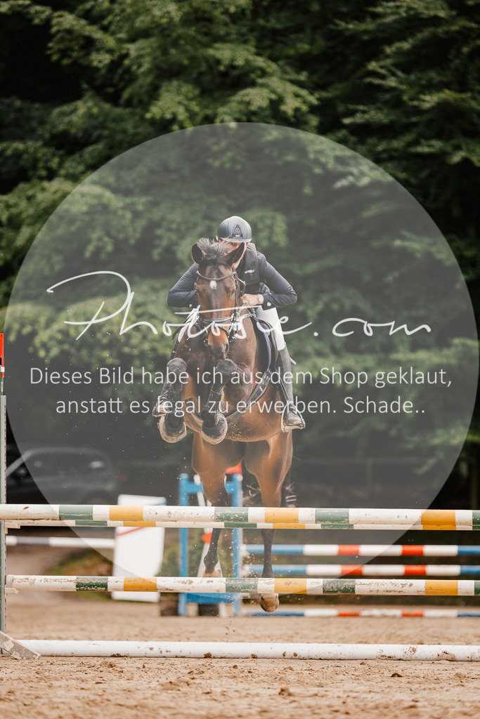 3I6A2446 | Stimmungsvolle Portraits und Reitsportfotografie im Ruhrgebiet und im Münsterland.

Pferdefotografie, Hundefotografie, Tierfotografie, Reportagen, Portraits von Tier und Mensch, Turnierfotografie in Bochum, Recklinghausen, Marl, Haltern am See, Dülmen.. - Realisiert mit Pictrs.com