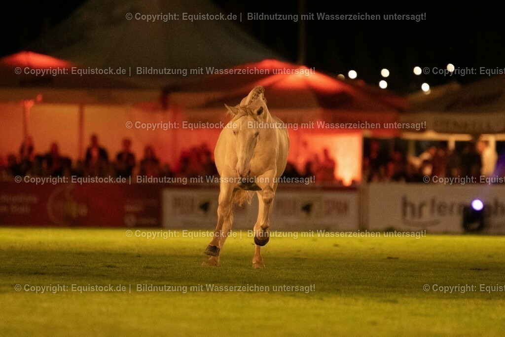 20230526_Pferdenacht_1464 | equistock