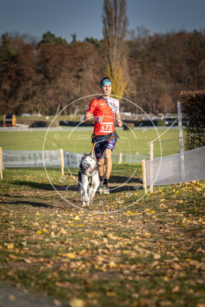 CaniXpix_DV3A0906 | Hundefotografie, Tierfotograf, Pfotenfotografie, Fotoshooting Hund, Hunde Portrait, Hundesport, Hundeportraits, Heideshooting, Hunde, Sportfotograf, Hundefotograf, Turnierhundsport, THS,  - Realisiert mit Pictrs.com