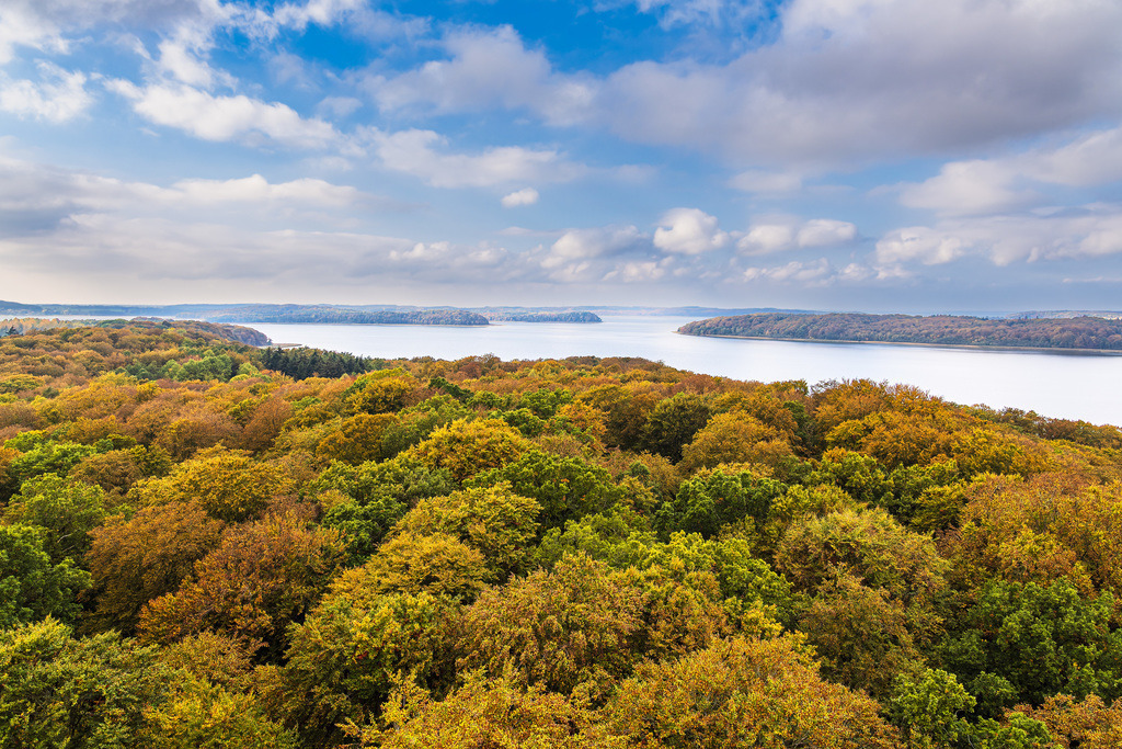 Herbstliche Wälder auf der Insel Rügen | Herbstliche Wälder auf der Insel Rügen.