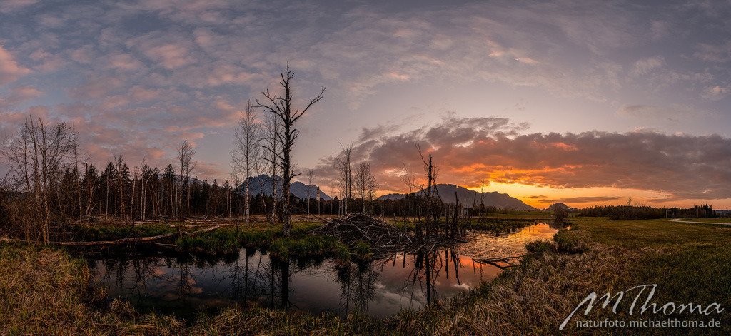 Sonnenuntergang Berger Moos Pfronten | Dies ist der Online-Shop von naturfoto.michaelthoma.de. Ich bin leidenschaftlicher Naturfotograf und fotografiere von der Andromedagalaxie bis zum Zwergtaucher, von der Ameise bis zum Orionnebel alles was mit Natur zu tun hat. Hier kann eine Auswahl meine - Realisiert mit Pictrs.com