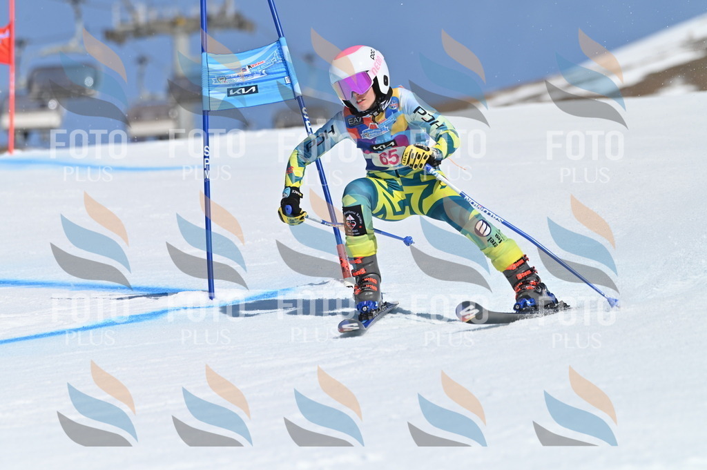 BGV_8827 | holidayphoto