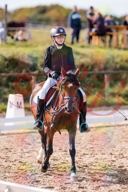 2026_10_03_Siefer-Hof_122317_Z81_23564497 | Professionelle Reitsport-, Turnier- und Eventfotografie von Robert Broda. Galerien mit ausgewählten und bearbeiteten Bildern direkt online ansehen und bestellen.