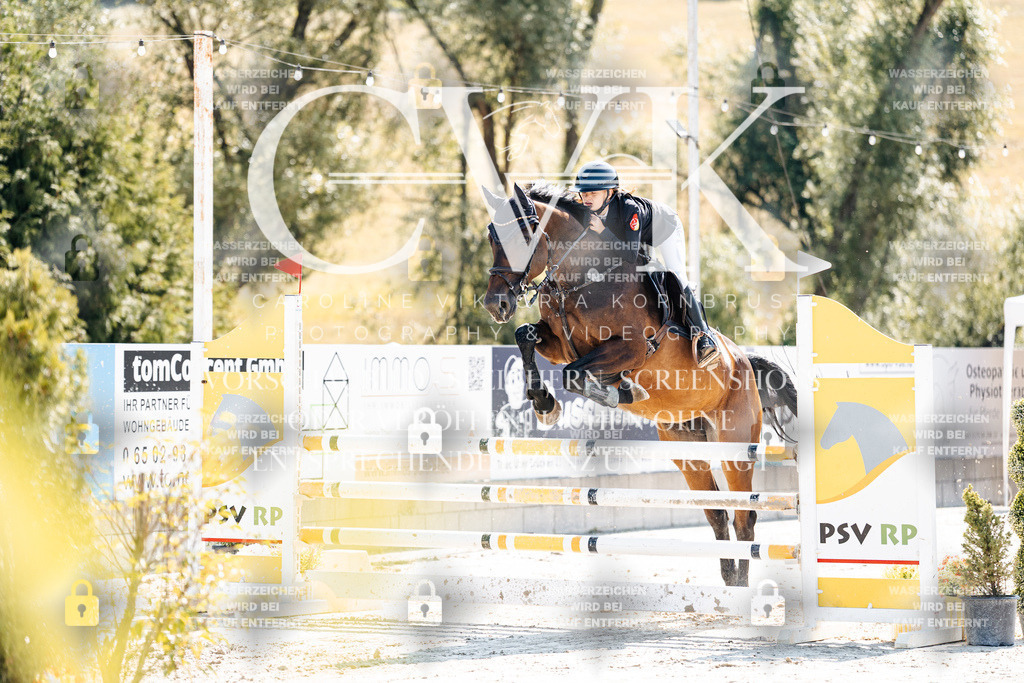 CK908527 | Turnierfotografie Pferdefotografie Trier Rheinland-Pfalz Pferdesport Reitsport Tierfotografie Sportfotografie Pferdevideo Pferdevideografie Equestrianvideography equestrianphotography  - Realisiert mit Pictrs.com