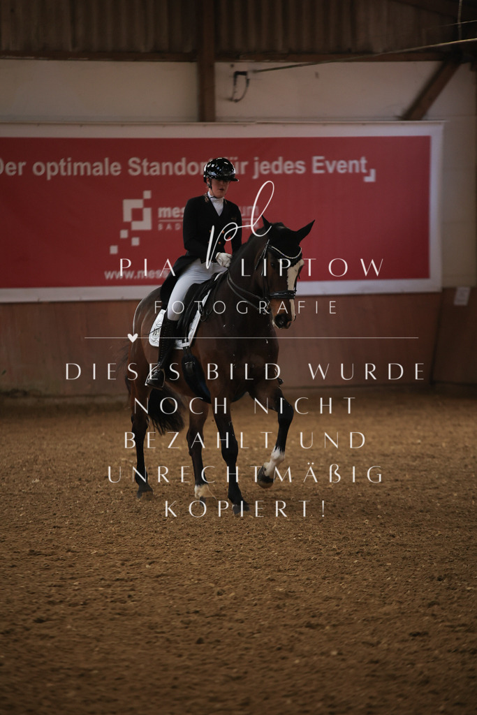 IMGT4456 | pl-fotografie