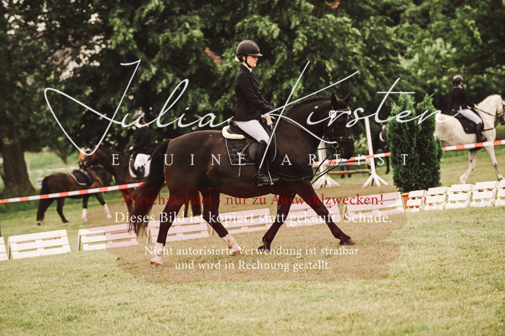 DSC_5081 | Pferde- und Turnierfotografie in Westsachsen. Pferdeportraits, Auftragszeichnungen und intuitive Kunst.