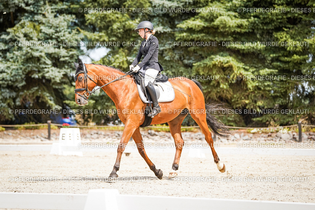 DSC03336 | Pferdegrafie