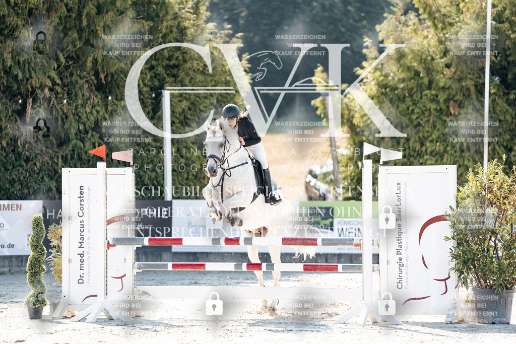 CK907652 | Turnierfotografie Pferdefotografie Trier Rheinland-Pfalz Pferdesport Reitsport Tierfotografie Sportfotografie Pferdevideo Pferdevideografie Equestrianvideography equestrianphotography  - Realisiert mit Pictrs.com