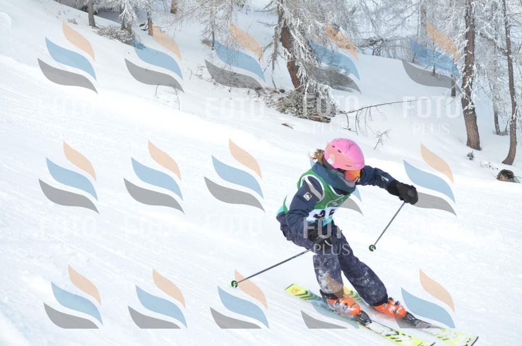 D8803 | holidayphoto