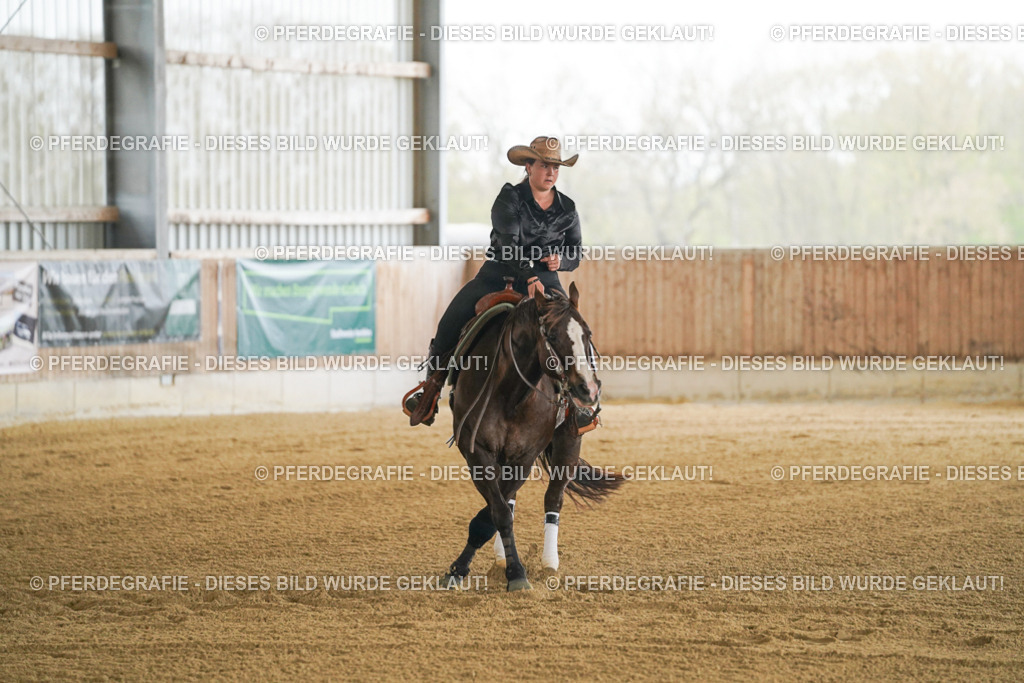 DSC07387 | Pferdegrafie