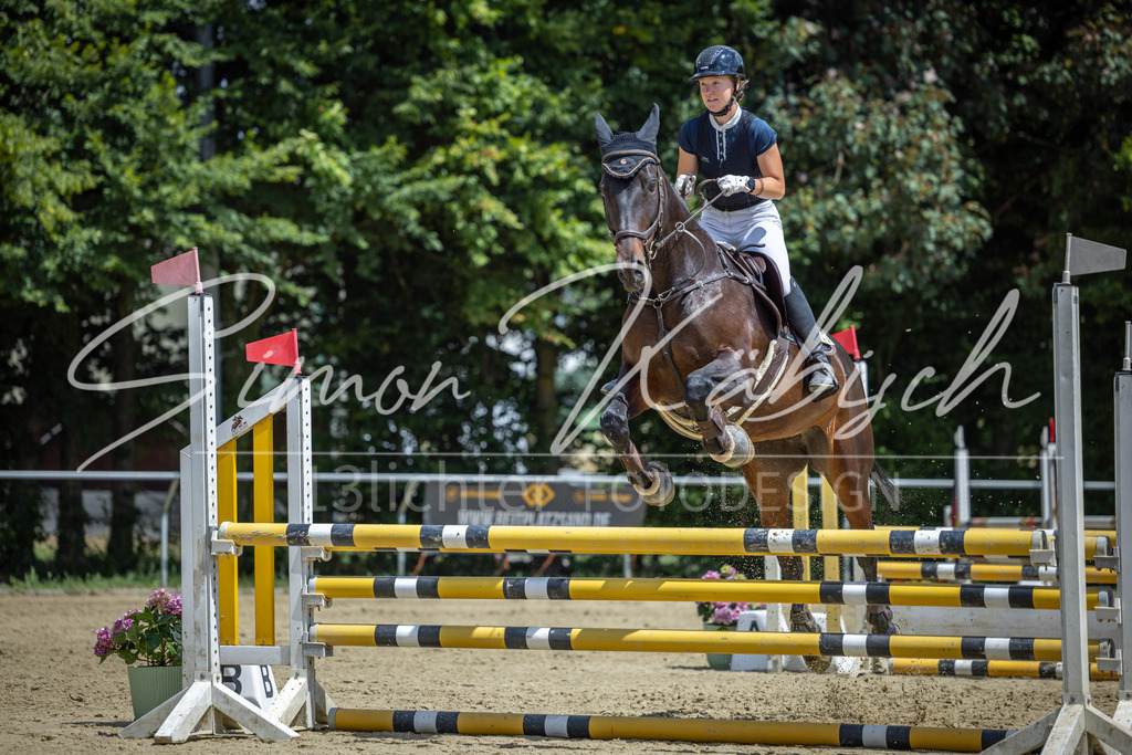 20260704-_3LI9723 | Tierfotografie Pferde, Hunde, Katzen, Haustiere.
Turnierfotografie Reitturniere, Reiten, Springreiten, Dressur in Hanau, dem Main-Kinzig-Kreis und dem Rhein-Main- Gebiet um Frankfurt