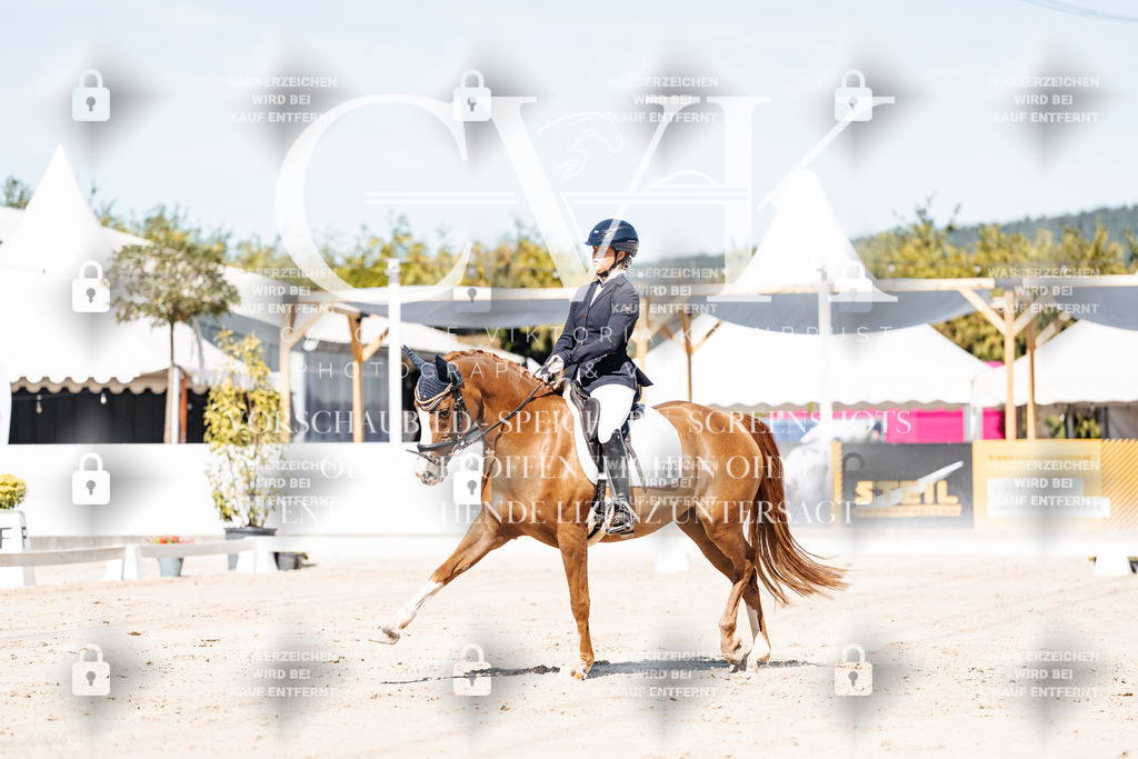CK909144 | Turnierfotografie Pferdefotografie Trier Rheinland-Pfalz Pferdesport Reitsport Tierfotografie Sportfotografie Pferdevideo Pferdevideografie Equestrianvideography equestrianphotography  - Realisiert mit Pictrs.com