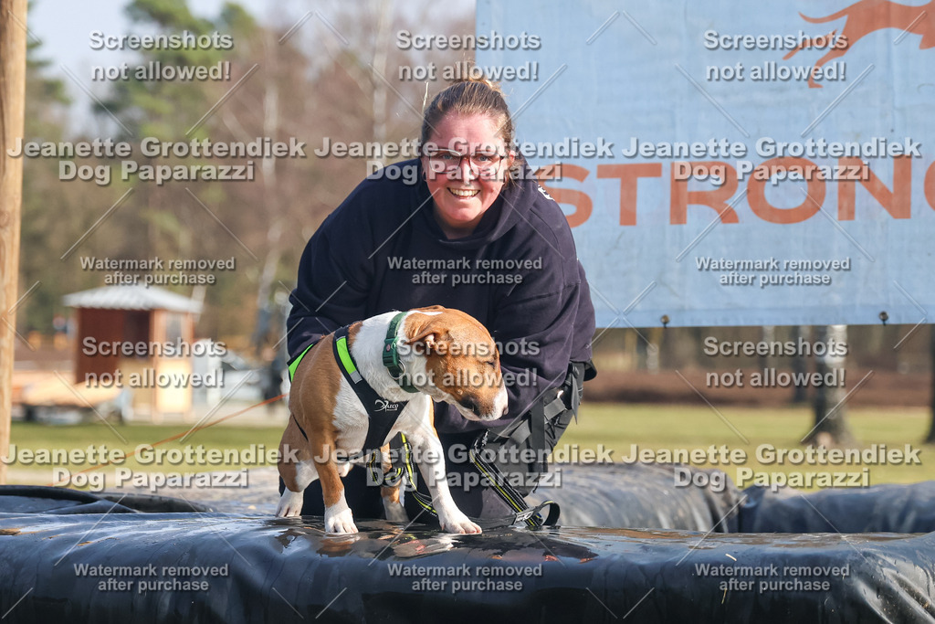 Dog Paparazzi - Strongdog North Mrz26-1969 | Dog Paparazzi Jeanette Grottendiek Fotografie & Videografie - Realisiert mit Pictrs.com