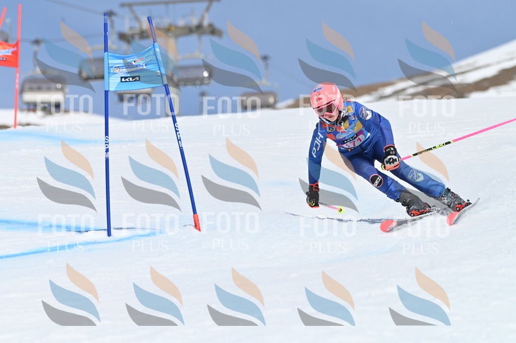 BGV_0453 | holidayphoto