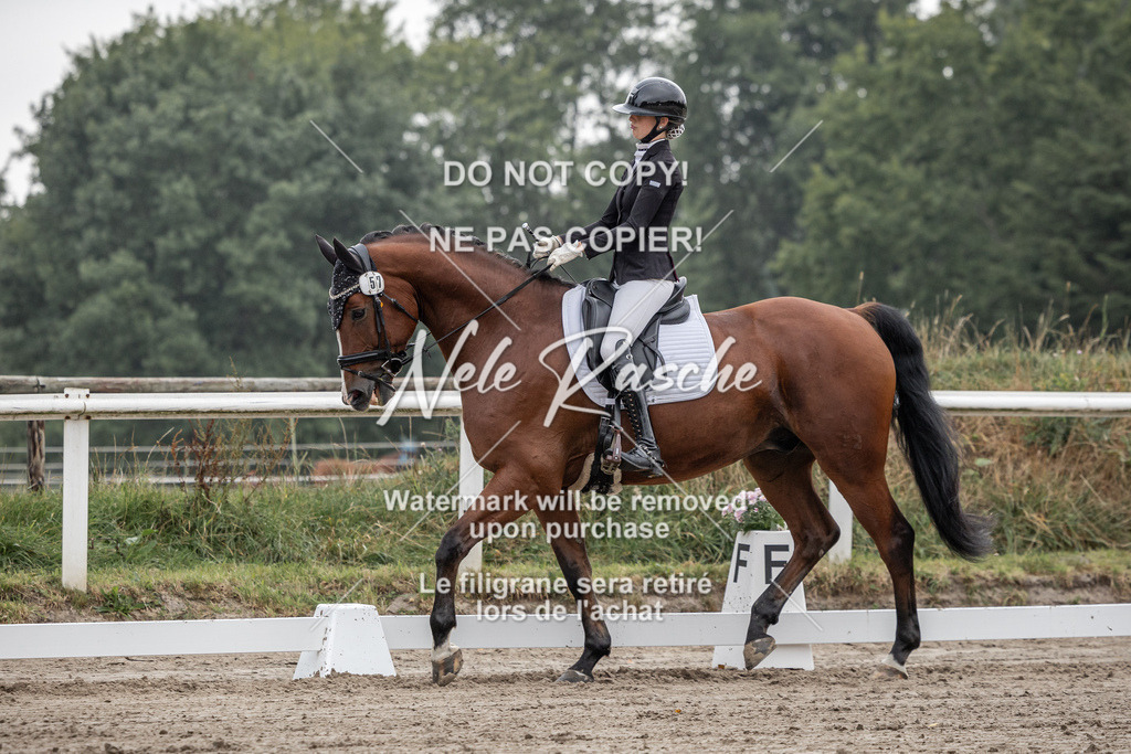 nelerasche_DrL_Ede_51 | nelerasche
