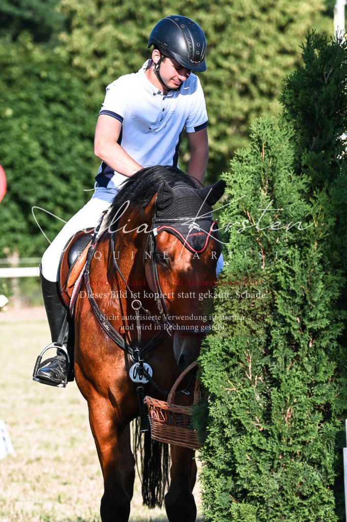 DSC_3193 | Pferde- und Turnierfotografie in Westsachsen. Pferdeportraits, Auftragszeichnungen und intuitive Kunst.