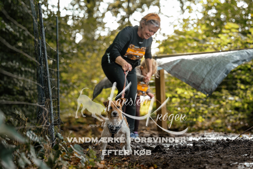 1452DZ6_3674Z6 | kk-dogfotos