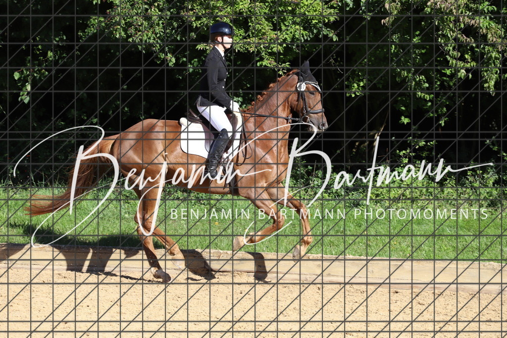 IMG_5125 | Benjamin Bartmann Photomoments