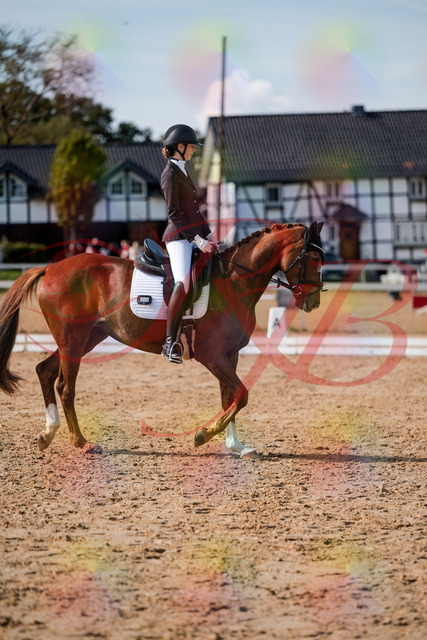 2026_10_03_Siefer-Hof_132841_Z63_89701271 | Professionelle Reitsport-, Turnier- und Eventfotografie von Robert Broda. Galerien mit ausgewählten und bearbeiteten Bildern direkt online ansehen und bestellen.