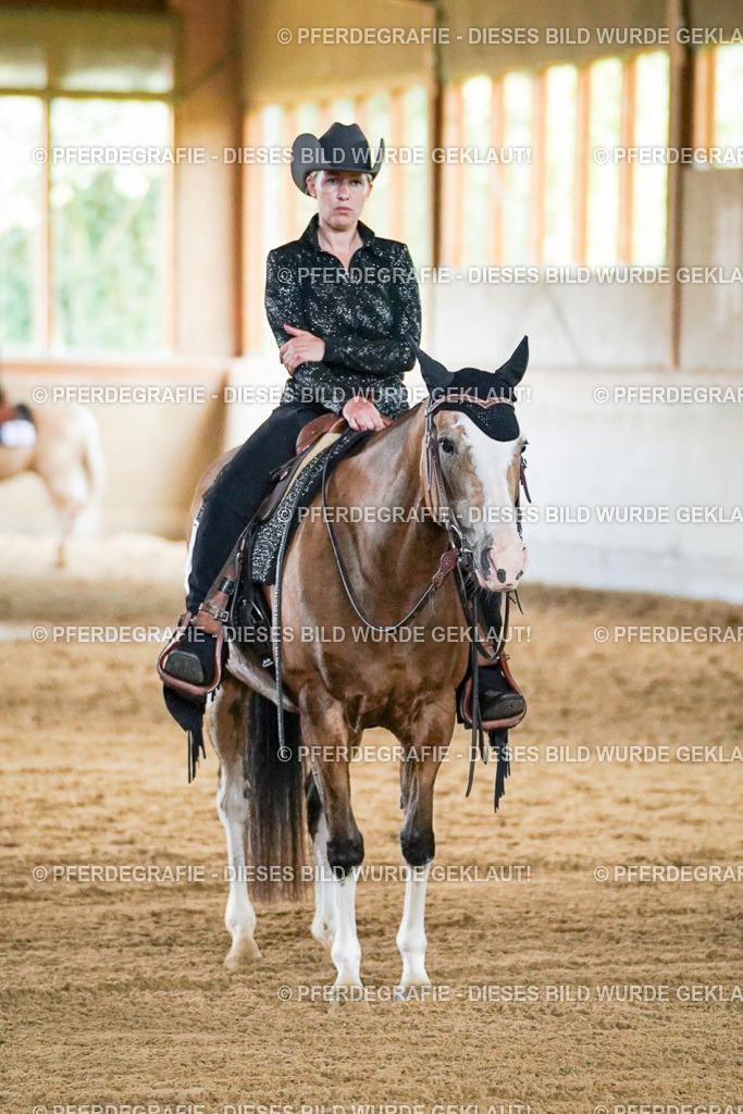 DSC05758 | Pferdegrafie