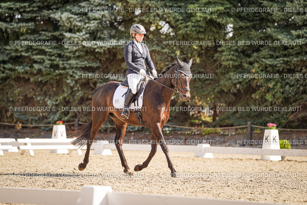 DSC00353 | Pferdegrafie