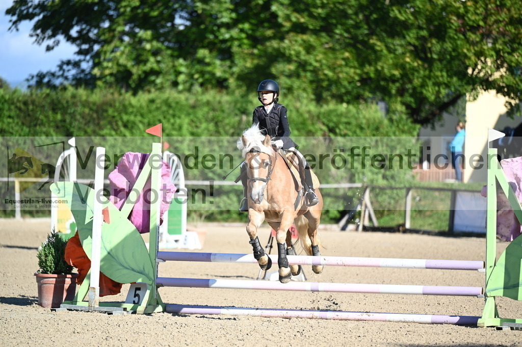 DSC_7803 | equestrian-live-com