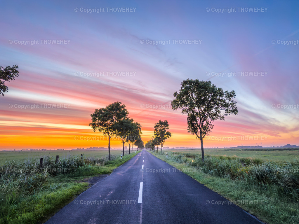 IMG_5176 | thowehey - Realisiert mit Pictrs.com