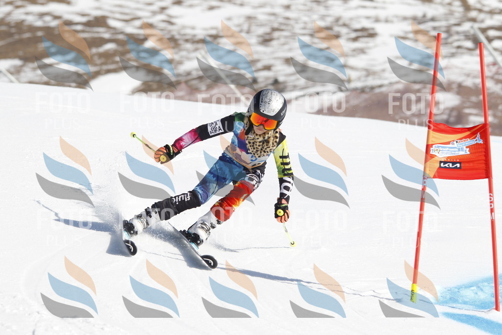 _U3G8568 | holidayphoto