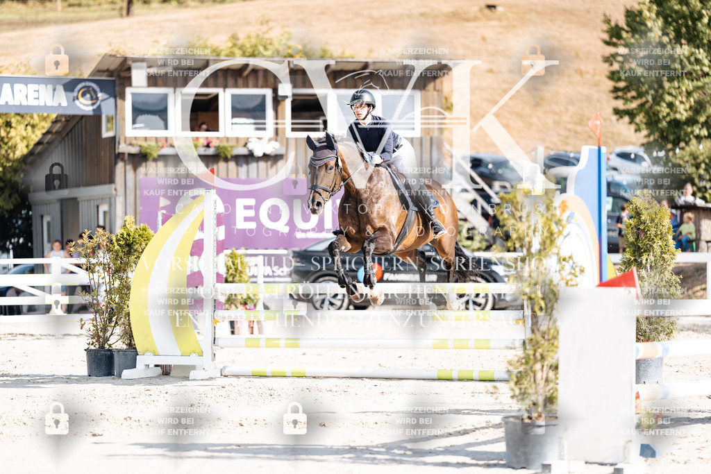 CK909196 | Turnierfotografie Pferdefotografie Trier Rheinland-Pfalz Pferdesport Reitsport Tierfotografie Sportfotografie Pferdevideo Pferdevideografie Equestrianvideography equestrianphotography  - Realisiert mit Pictrs.com