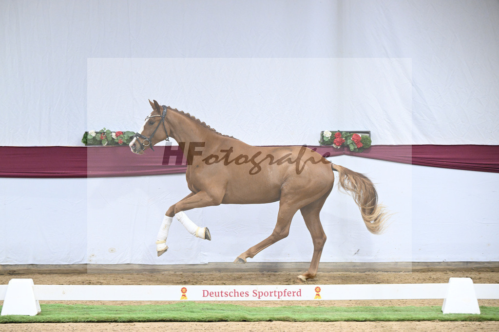 Kat-Nr. 119 Iron x Quaterback_Jakob u Martina Reglauer_47254000 | hf-fotografie - Realisiert mit Pictrs.com