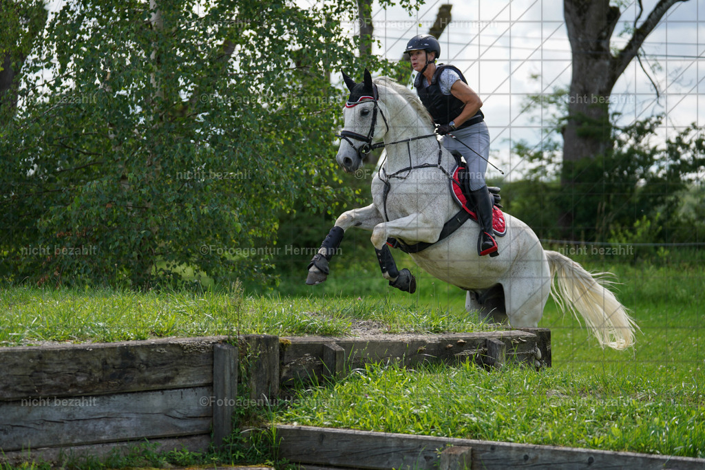 20240622-FAH07671 | Turnierfotografen Bayern, Reitsportbilder aus dem Geländekurs mit Felix Etzel auf dem Gut Waitzacker 2024