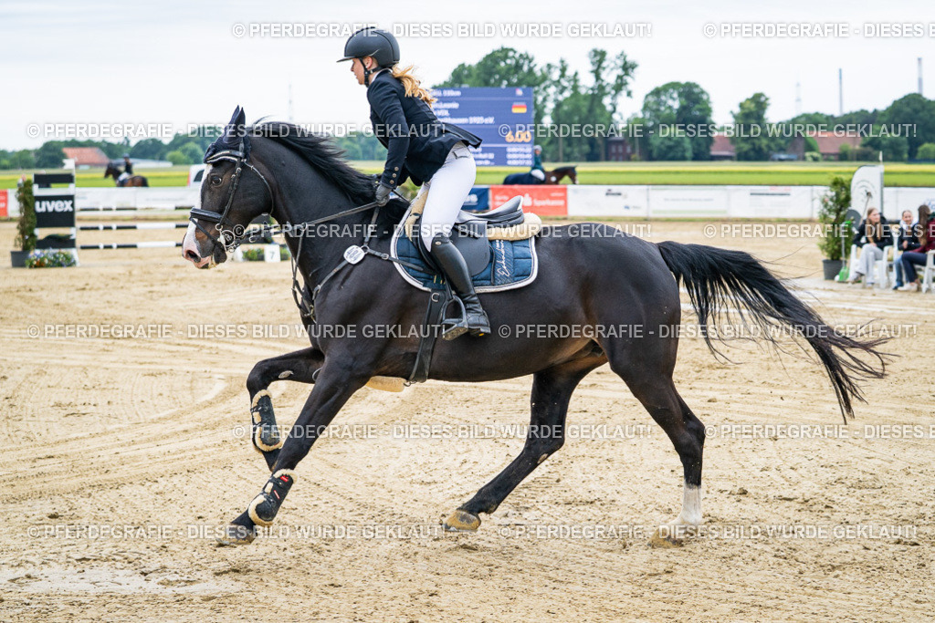 DSC04507 | Pferdegrafie