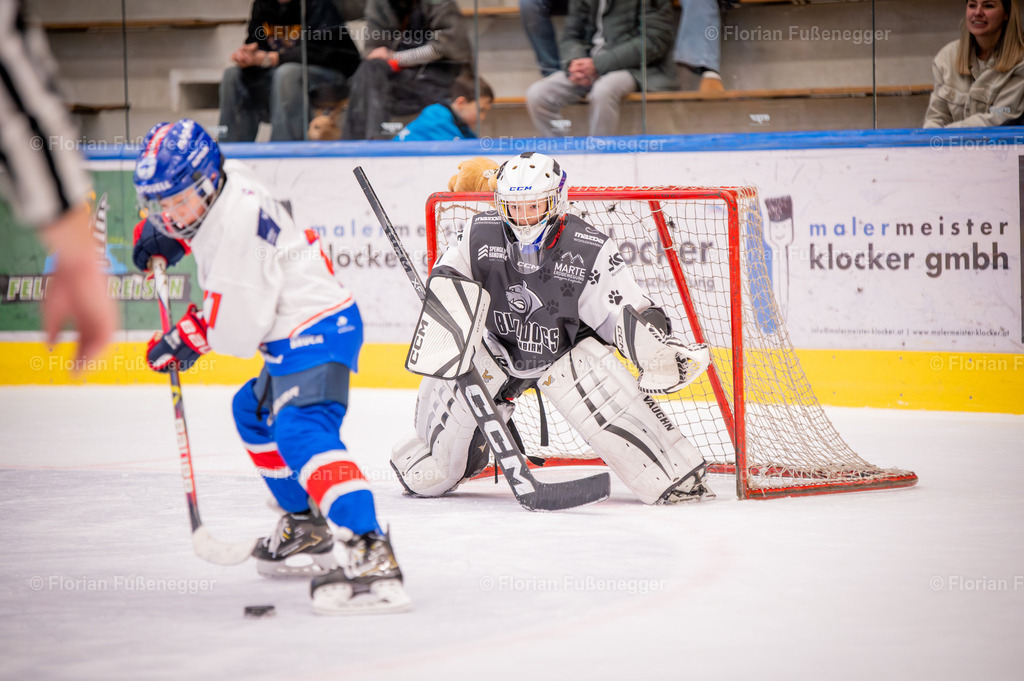 DSC_4005 | "Fussifoto.com – Ihr Ansprechpartner für hochwertige Fotografie! Entdecken Sie kreative Bilder und professionelle Dienstleistungen. Kontaktieren Sie uns für Ihre Projekte!"