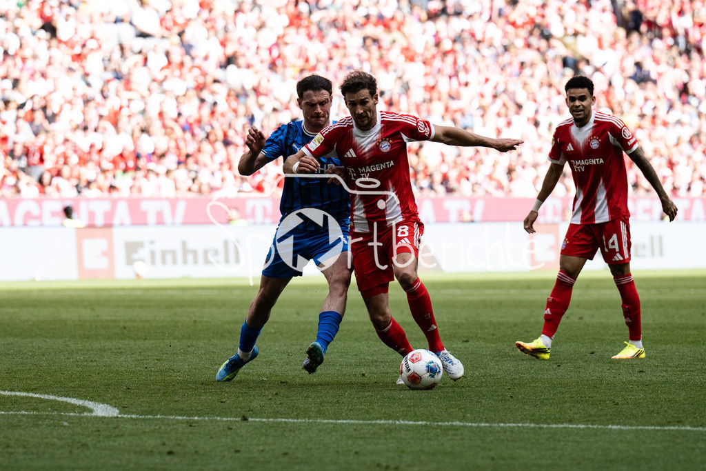 FC Bayern München - 1. FC Heidenheim | MUNICH, GERMANY - 02. MAI: im Duell Budu ZIVZIVADZE (1. FC Heidenheim 11) und Leon GORETZKA (FC Bayern Munich 8) während dem Bundesligamatch zwischen dem FC Bayern München und dem 1. FC Heidenheim am 32. Spieltag in der Allianz Arena / DFL REGULATIONS PROHIBIT ANY USE OF PHOTOGRAPHS AS IMAGE SEQUENCES AND/OR QUASI-VIDEO